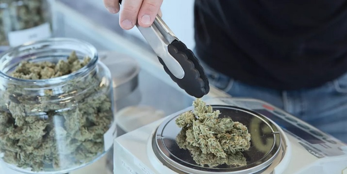 Budtenders