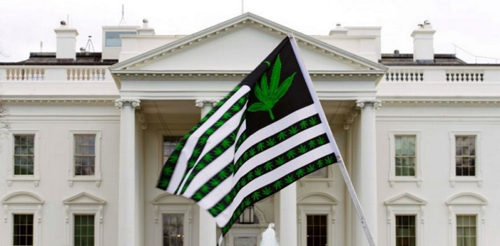 Congress Marijuana Protections