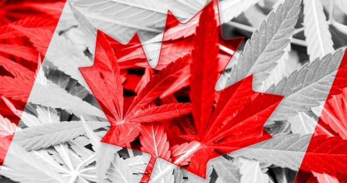 Canada Weed