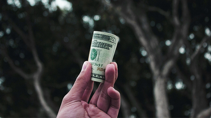 Money Marijuana