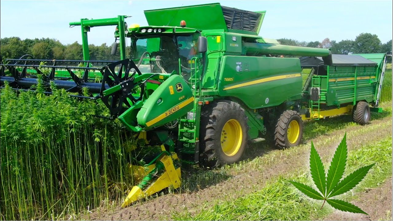 Hemp Harvest Equipment — CBD Hemp Harvesting Solutions